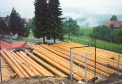 Das Holz